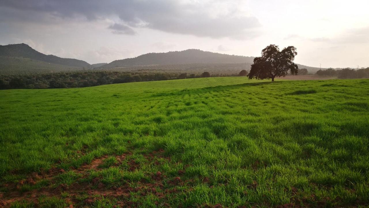 Finca El Vizconde Naturaleza Con Tus Hijos Arquillos Exterior foto