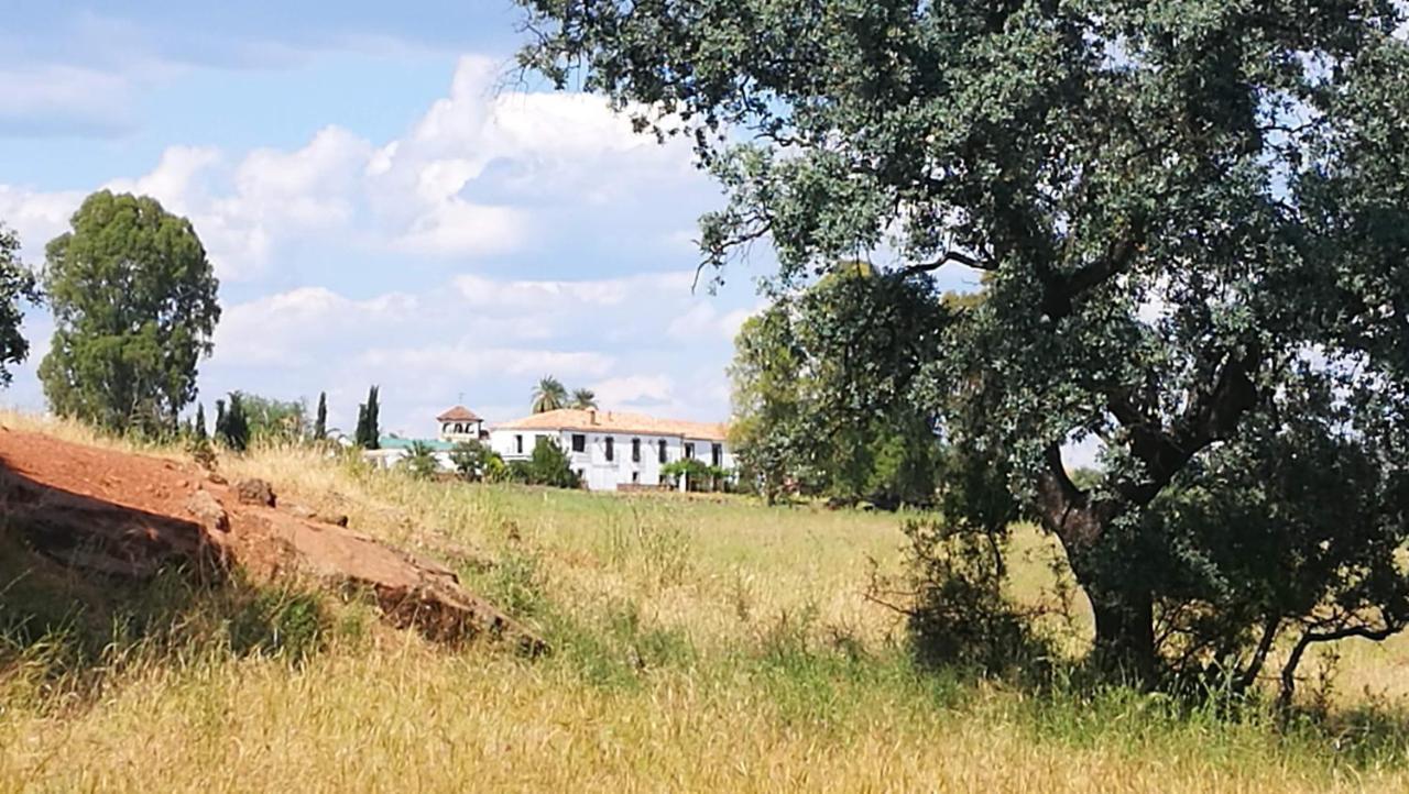 Finca El Vizconde Naturaleza Con Tus Hijos Arquillos Exterior foto